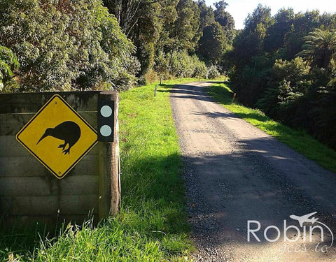 Kiwi caution sign, New Zealand