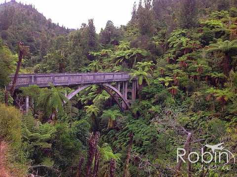 Bridge to Nowhere, New Zealand